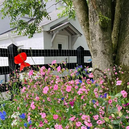 Beech Tree Cottage Glenwherry Екстериор снимка