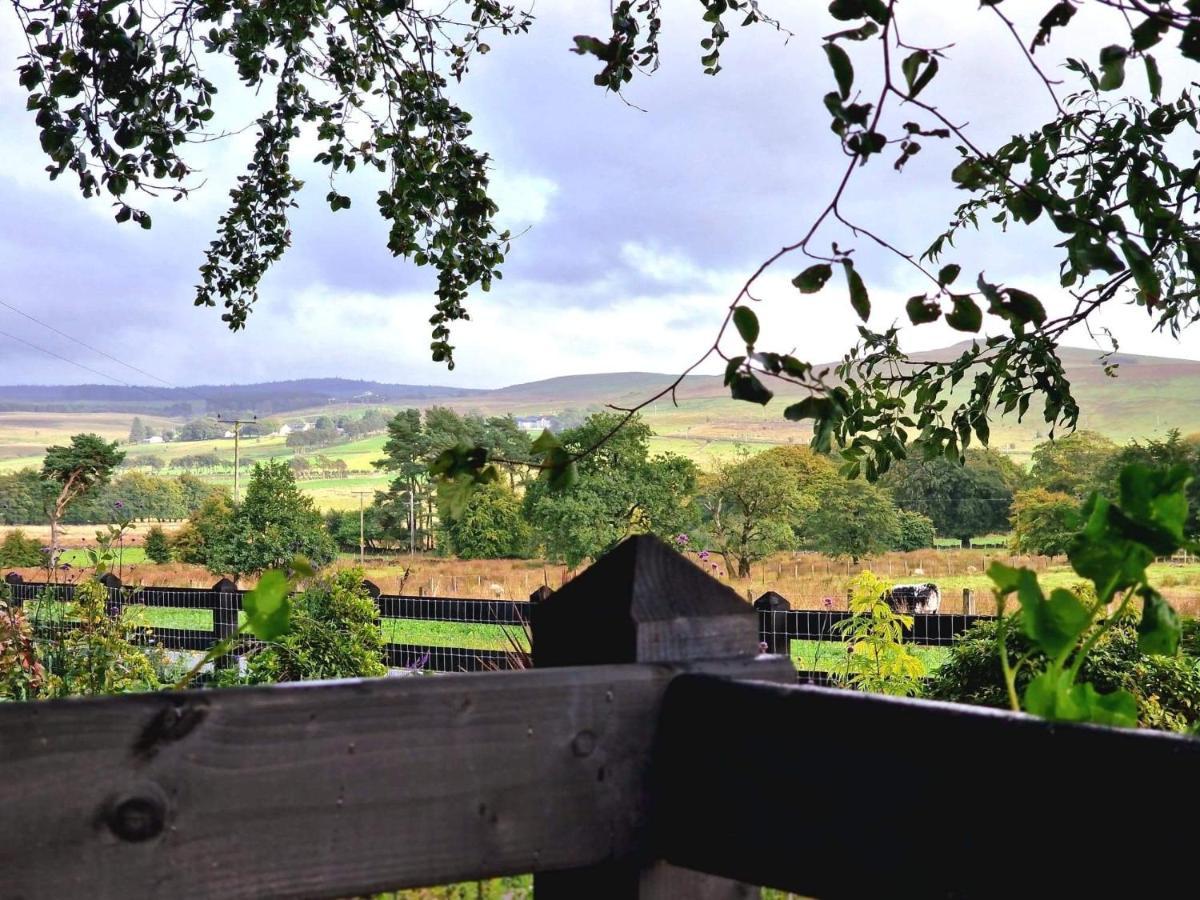Beech Tree Cottage Glenwherry Екстериор снимка