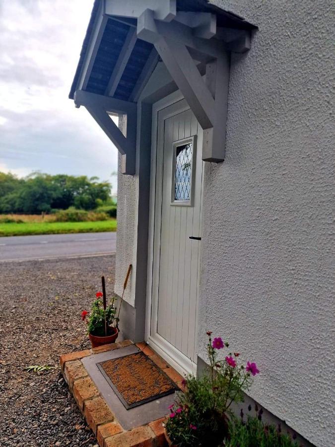 Beech Tree Cottage Glenwherry Екстериор снимка