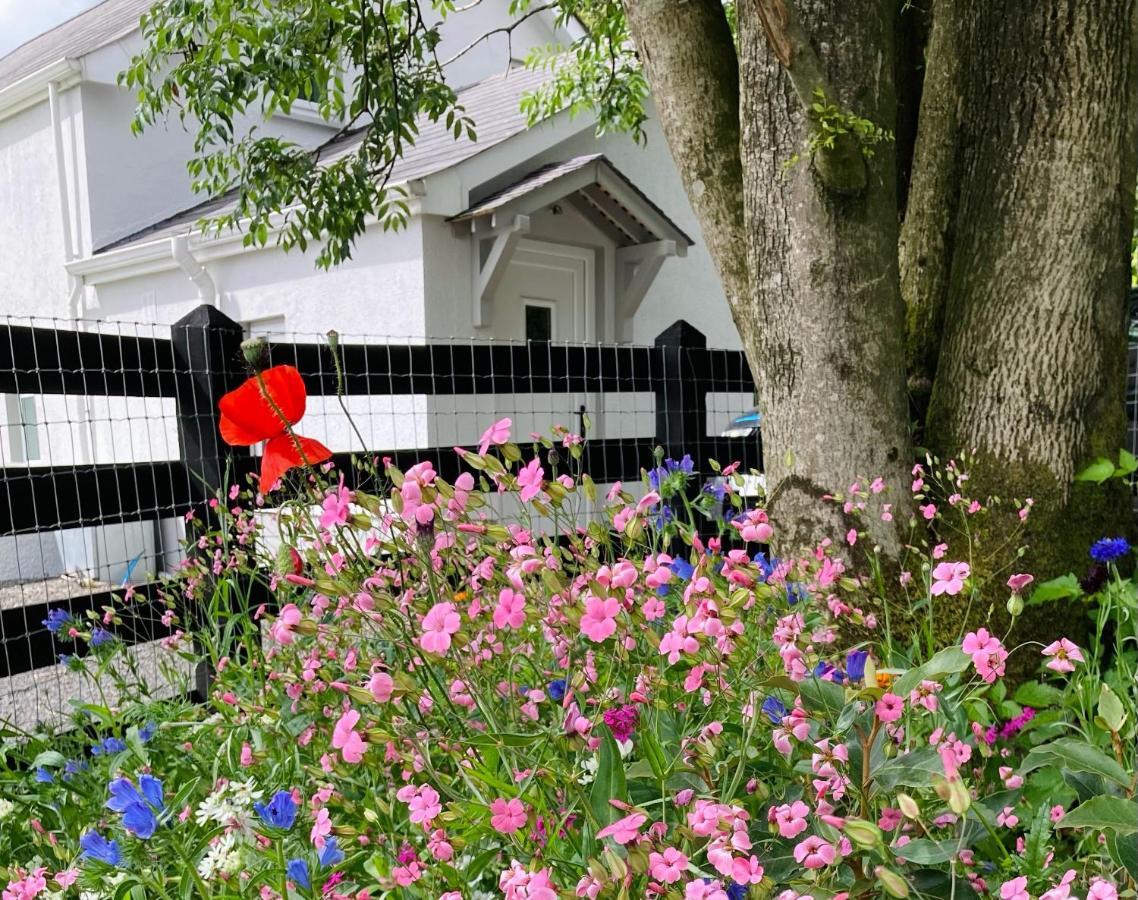 Beech Tree Cottage Glenwherry Екстериор снимка