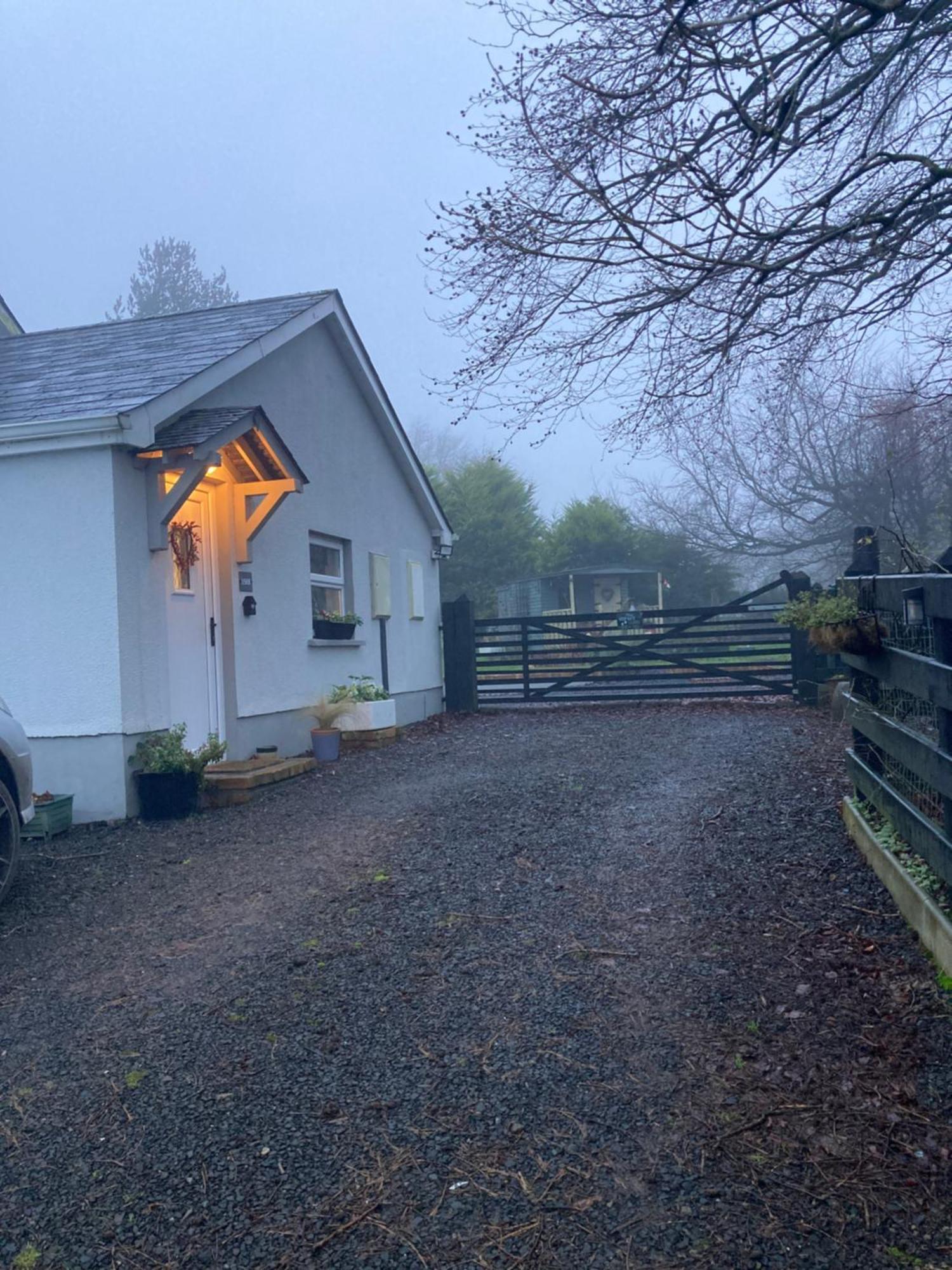 Beech Tree Cottage Glenwherry Екстериор снимка